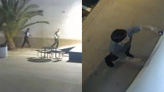 Vandalism Suspects - San Diego County Sheriff’s Department