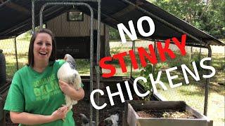 No STINKY Chickens! Maintaining Your Backyard Coop (With Bonus Tips)