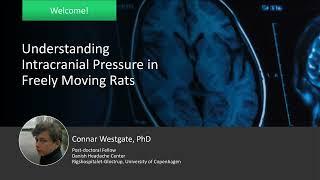 Understanding Intracranial Pressure in Freely Moving Rats