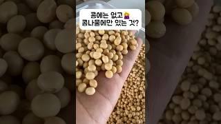 콩에는 없고 콩나물에만 있는 것!#shorts #비타민c #vitaminc #콩나물 #키우기 #sprout