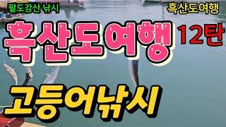 #흑산도고등어 #고등어낚시를흑산도에서하나요?