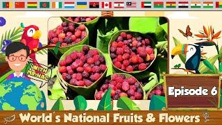 Episode 6 | World's National Fruits and Flowers | Numismatics Academy | Change2e | WorldOLA