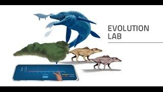 Labster Virtual Lab: Evolution Simulation