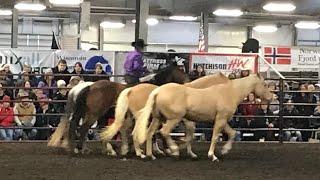 Dan James Roman Riding at the Midwest Horse Fair