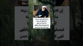 أن الله يعطي العبد على نيته.." اقوال الشيخ الشعراوي" اقتباسات " حكم و اقوال" نصائح في علم النفس