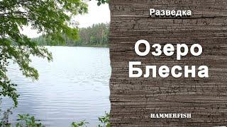 Озеро Блесна. Подводная охота в Ленинградской области. Гидрокостюмы HAMMERFISH