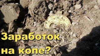 Можно ли заработать на копе?В поисках Золота и Старины с Дмитрием.