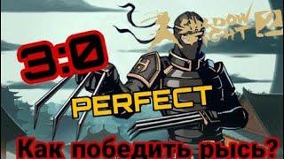 Как победить рысь в Shadow Fight 2?