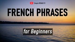 Start Speaking French Today: Common Phrases You Need! French for Beginners