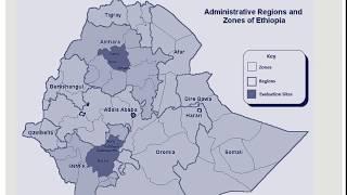 Webinar: Examining the Sustainability of USAID's Millennium Water Alliance Activity in Ethiopia