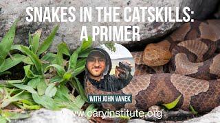 Snakes in the Catskills: A Primer