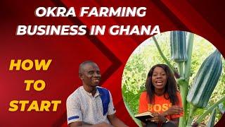 Introduction to okra farming in Ghana from scratch| how to invest and make profit from okra farming