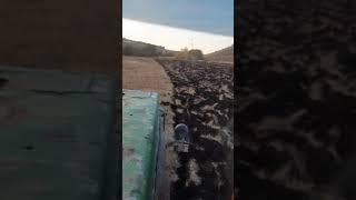 Вспашка целины трактором Т 150к и плугом ПСК-5