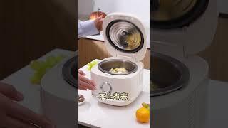 Joydeem不锈钢内胆电饭煲，焖排骨汤超绝，火力超大，骨肉分离