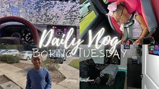 Daily Vlog / A Boring Tuesday With A Single Mom / Run Errands With Me / New Apartment Decor Progress