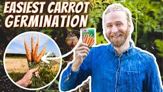 How to Plant Carrot Seeds Intensively | The Most Effective Strategies for Carrot Success