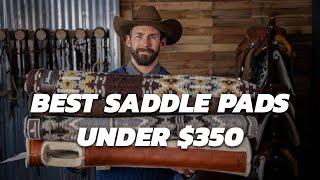 Tack Talk | The Best Saddle Pads Under $350