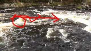 River Canoe Tripping - reading rapids