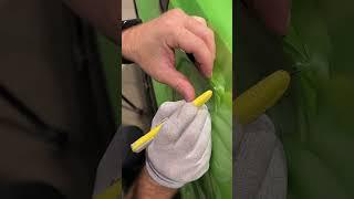 ASMR Kia Sorento Side Wrap | Avery Green Pearlescent Vinyl Prep Tips