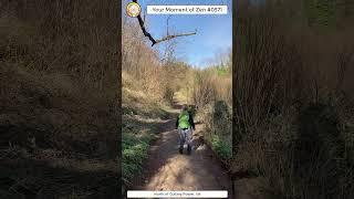 ScienceMan Moment of Zen 0571 #peaceful #hike #walk #cotswolds #uk #forest #nature #asmr