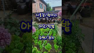 #시골집주변#정겨운#장독대항아리#경치#마당텃밭#가수서금옥색소폰