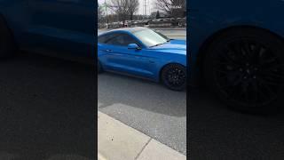 Checking out a @ncstangs Meet up! #fordmustang #ford #mustang #beast #fyp