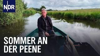 Sommer in MV: Besondere Menschen an der Peene | die nordstory | NDR Doku