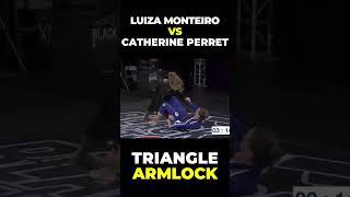 Slick Triangle Armlock Submission!