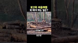 표고목 물 집중적으로 주는 시기?