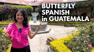 Explore Guatemala with Butterfly Spanish!