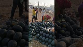 5rs kg అంటే ఇంకేం బేరం ఆడతాం  || Edhi Yaaparam || Pavan Kumar Undamatla ||