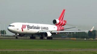 MD-11 birdstrike during takeoff