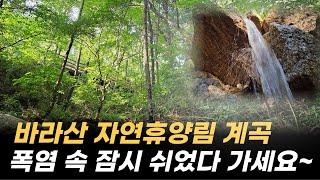 경기 의왕 바라산 자연휴양림 계곡