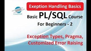 PL/SQL exception handling - (Visit description for more info)
