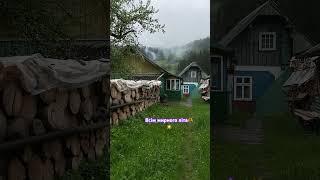 #song #music #карпати #карпативідпочинок