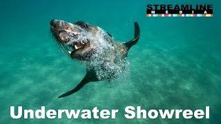 Underwater Showreel Streamline Media Port Phillp Bay. Victoria. Australia