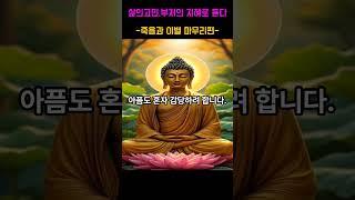 인생고민 부처님의 지혜로 듣다-죽음과 이별 마무리편- 제3화 누구에게도 부담주고 싶지 않을때 #부처님말씀 #명언 #자기수행  #부처님가르침  #긍정적마인드 #인생조언