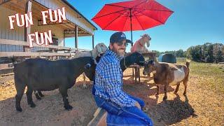 Farm Day Adventure with Farmer Jason & The Animals! (Fun Educational Video for Kids)