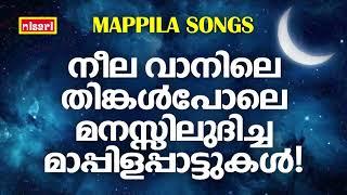 MAPPILA SONGS | Malayalam Mappila Songs | Nisari Mappila Pattukal | Pazhayamappila Songs