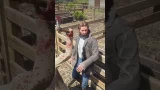 RDR 2 Wild West #359