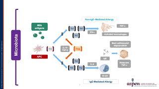 Current Understandings of Food Allergy