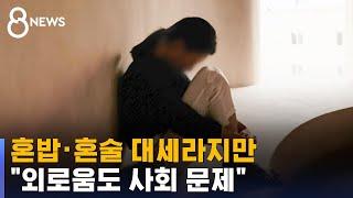 혼밥 · 혼술 대세라지만…사회적 문제로 불거진 '외로움' / SBS