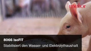 8066 IsoFIT – Stabilisiert den Wasser- und Elektrolythaushalt