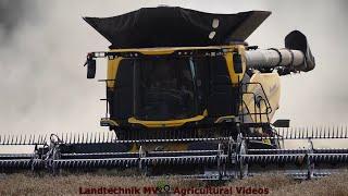 New Holland CR 11 Fieldcamp / Getreideernte - Grain Harvest 2024  pt1