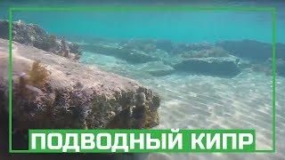 Подводный мир Кипра, релакс - ныряем возле Искеле, Северный Кипр