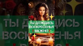 ПОСЛАНИЕ ВЫСШИХ СИЛ️РАСКЛАД ТАРО ФАИНА КАРИ #посланиевысшихсил #раскладтаро #фаинакари