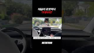 반응 안좋은 테슬라 로봇택시. 일론머스크 어쩌나 #tesla #robotaxis #elonmusk