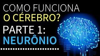 Como funciona o cérebro? | Parte 1: Neurônios | PEDRO CALABREZ | NeuroVox 009