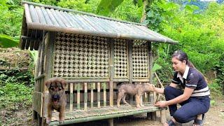 How to make a bamboo house for a dog to protect it from the sun and rain - Lý Lưu Linh