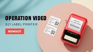 B21 Label Printer Tutorial - How to use B21 label maker & NIIMBOT App